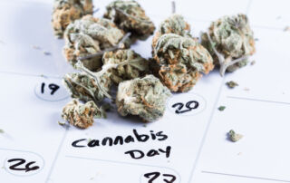 4/20 Cannabis Day